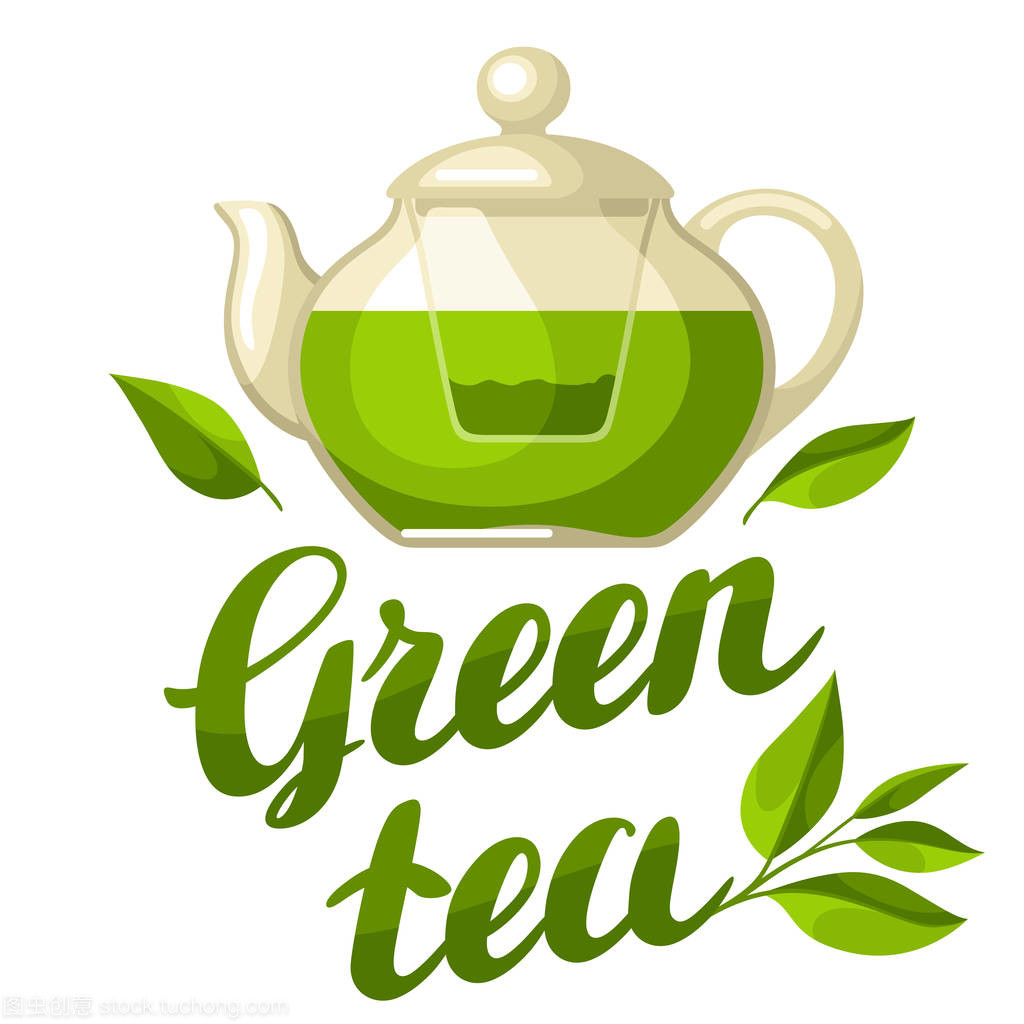 绿茶。插图与壶茶和手写刻字文本