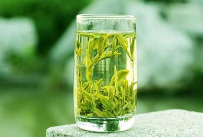 如何用适宜的方法冲泡绿茶?