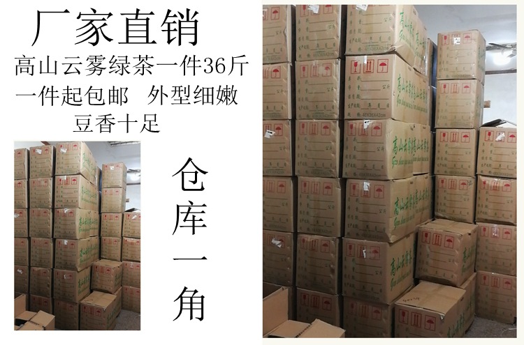 2022年新茶 明前绿茶 散装批发高山云雾茶55元/斤 炒青绿茶毛峰茶