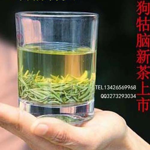 汤湖狗牯脑绿茶 厂家直销狗牯脑茶叶 汤湖绿茶 图片_高清图_细节图-江西遂川狗牯脑茶原产地批发零售 -