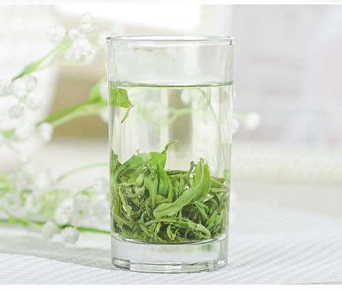 金果茶叶湖北恩施富硒茶春茶特级2020春茶日照绿茶浓香型嫩茶50g装