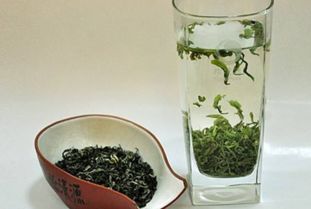 喝绿茶的主要禁忌是怎样的