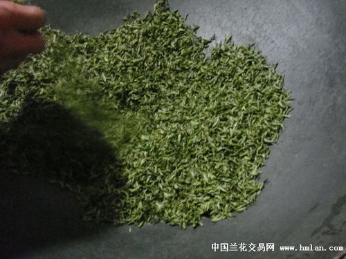 今年新茶上市,厂价直销,绿茶极品蒙山甘露