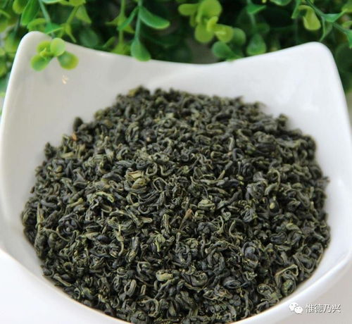 一两黄金一两茶 德兴黄金茶不只是 贵 关键是......