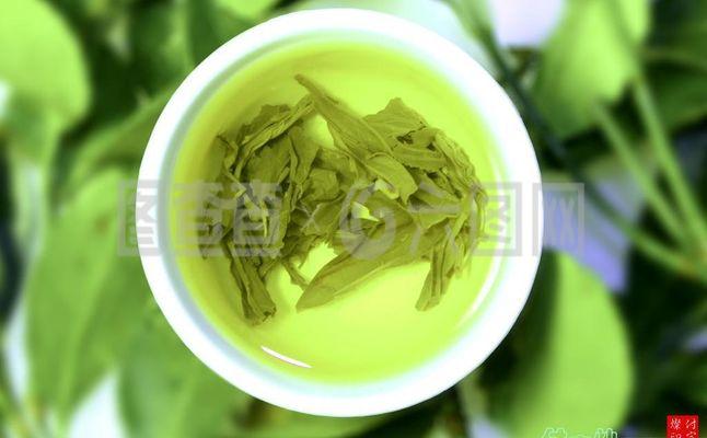 绿茶图片