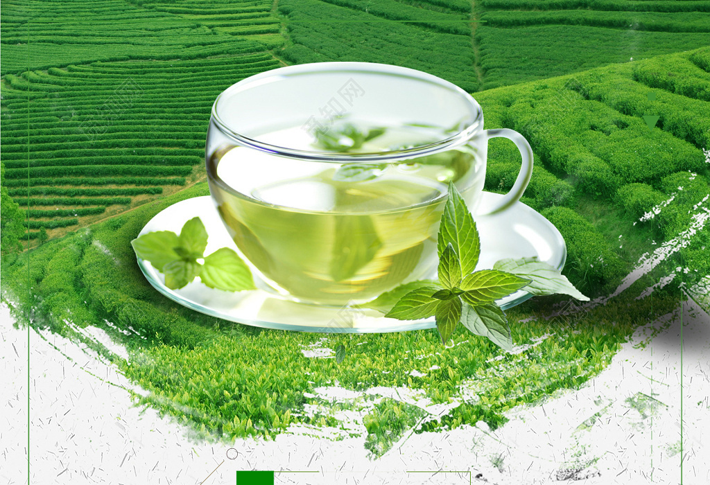绿茶茶叶活动促销海报