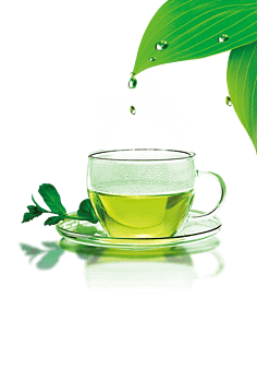 绿茶素材