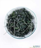 正宗日照绿茶 自产自销[供应]_茶叶_世界工厂网中国产品信息库