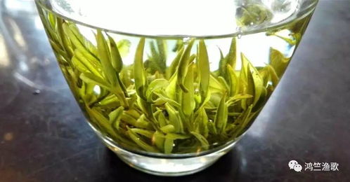 第一杯绿茶,剩下的1 3别急着喝