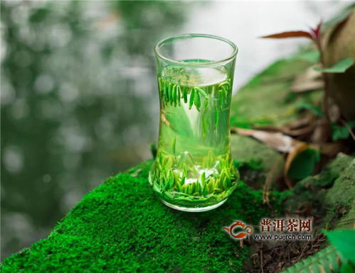 喝绿茶有什么好处吗 绿茶能从10个方面帮助你