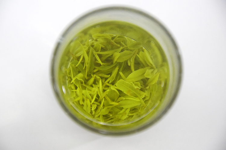 2023明前特级虞山工艺碧螺春：春茶之鲜，匠心之选