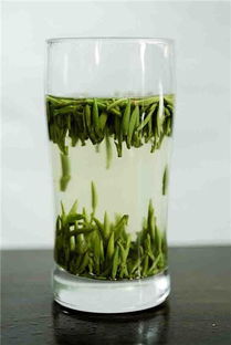 喝绿茶会胖吗？解构绿茶与体重的关系