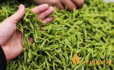 绿茶的常见品种及其十大推荐