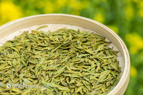 春茶龙井绿茶的魅力与品鉴