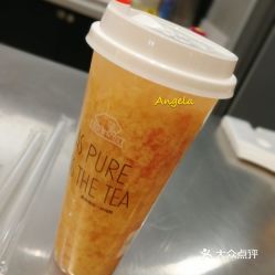 云茶的西柚养乐多好不好吃 用户评价口味怎么样 大连美食西柚养乐多实拍图片 大众点评
