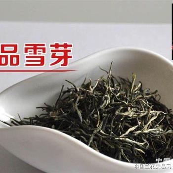 峨眉山2019年明前茶叶雪芽1号精品高档绿茶 包邮
