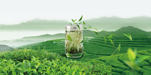 一杯绿茶图片_一杯绿茶素材_一杯绿茶高清图片_摄图网图片下载