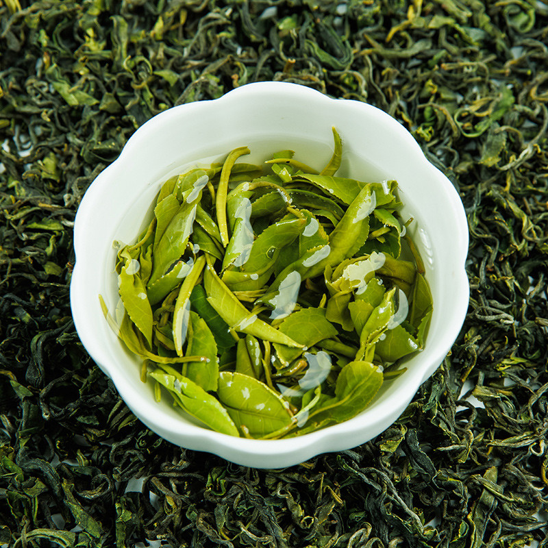 日照绿茶的由来