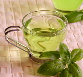 苦瓜绿茶怎么喝减肥