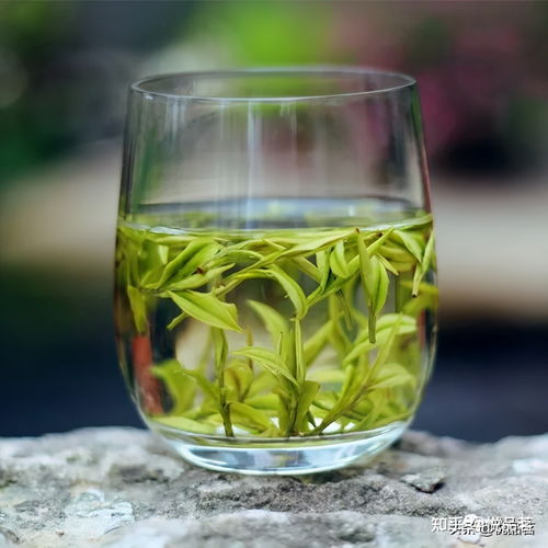 白毫银针属于绿茶吗 白毫银针是什么茶类 是发酵过的茶吗